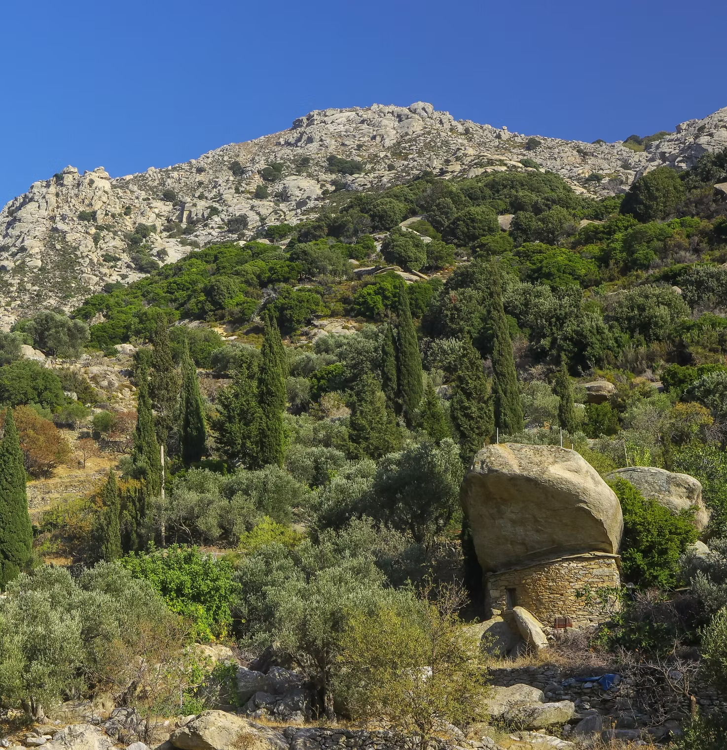 Pirate house nestled into the hillside of Ikaria, surrounded by olive trees and cypress