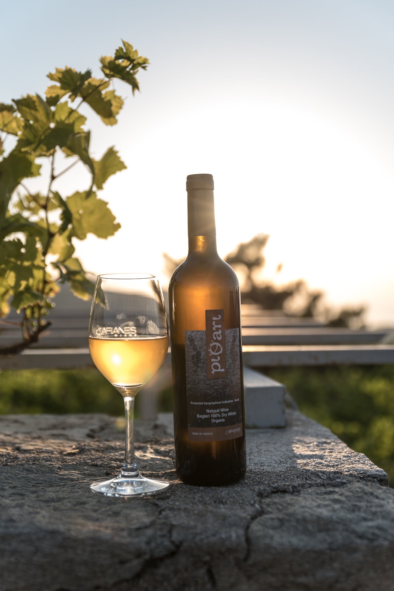 Ancient Viticulture & Health